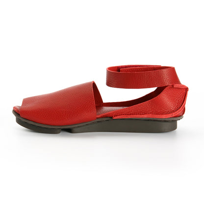 Lateen f - Alga